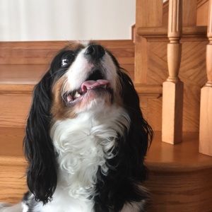 Meet your Posher, Pam